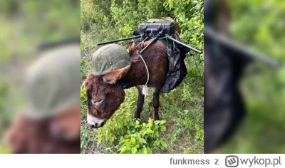 funkmess - Czyli żołnierze dostają mniej sprzętu i gorszej jakości, a oligarchia krad...