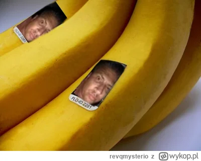 revqmysterio - #mecz