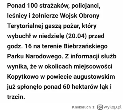 Knoblauch - #raportzpanstwasrodka
 Pani redaktor bo my chcieli wypalić łonke tak jak ...