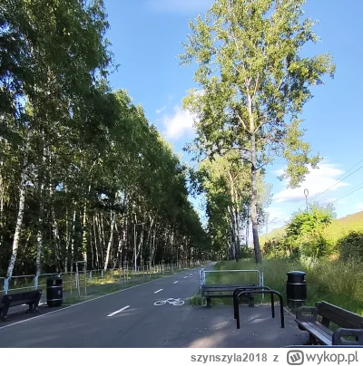 szynszyla2018 - Co jak co ale trasa rowerowa im się udała. Daje 9/10( ͡º ͜ʖ͡º) #katow...