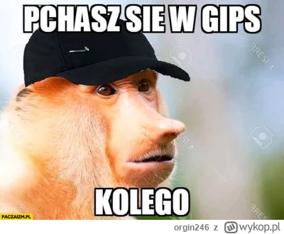 orgin246 - @Huptys: typowy widz ludologów po tych słowach