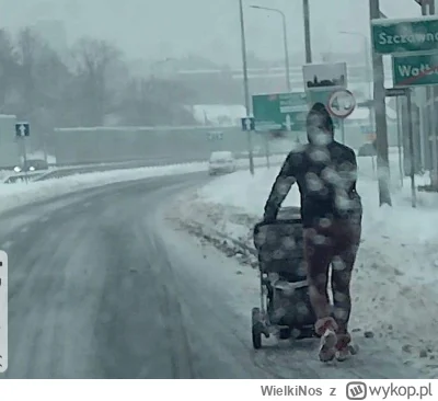 WielkiNos - Tak się dba o pieszych zimą. 

#zima #piesi #samochodoza #kierowcy #polsk...