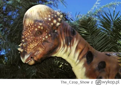 TheCzopShow - @hibiskusmiumieraa: Pachycafalozaur. Kto do niego dymi to dostaje z dyn...