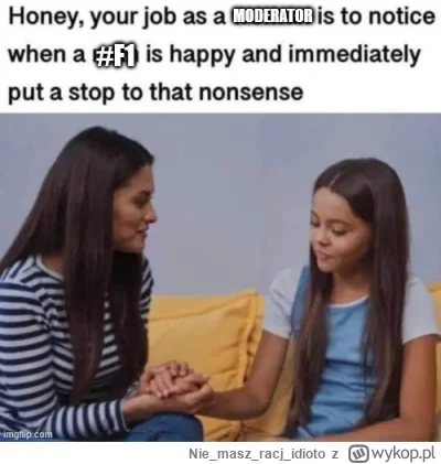 Niemaszracj_idioto - #f1 #moderacjacontent