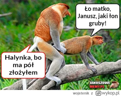 wojstenik - Ja jestem Maczo niech baby mi wybaczo #konkursnanajbardziejgownianymemzno...