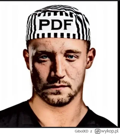 GibolXD - @Frieza_Gold: szkoda że takie zdjęcie wybrali bombla, mogli dać chociaż to