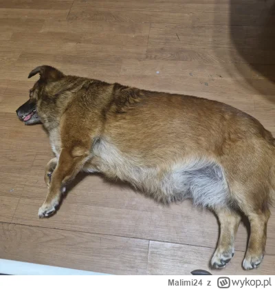 Malimi24 - #przegryw  taka nocka najlepsza