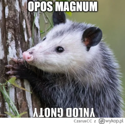 CzarusCC - #konkursnanajbardziejgownianymemznosaczem