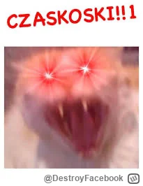 DestroyFacebook - @Leosiaa