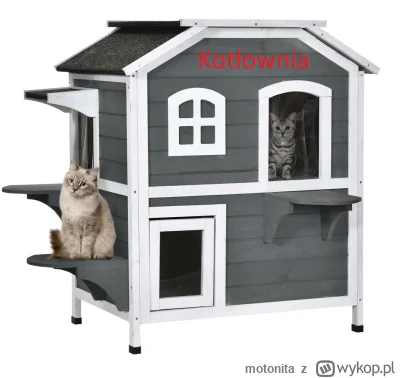 motonita - @paczelok: ( ͡° ͜ʖ ͡°)