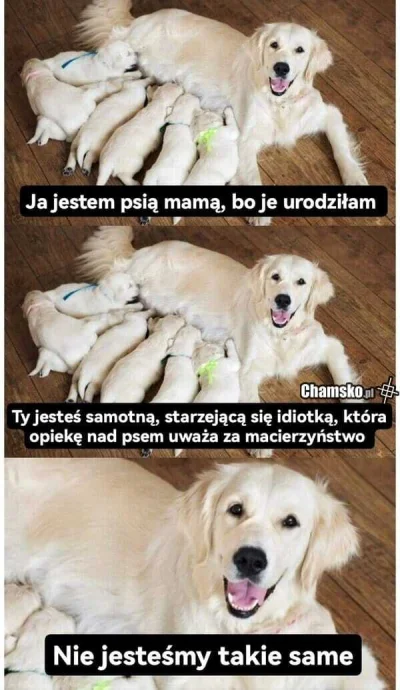 gaz_wieprzowy - #heheszki #humorobrazkowy