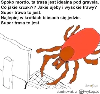 dominowiak - @ChlopoRobotnik2137: