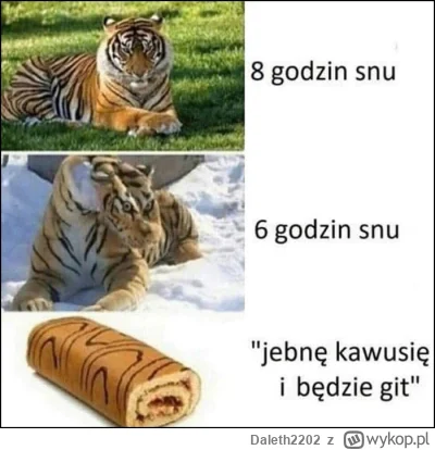 Daleth2202 - @Mega_Smieszek: "czujesz się jak rolada" niesamowite że ludzie chroniczn...