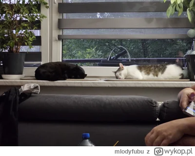 mlodyfubu - @simpiara