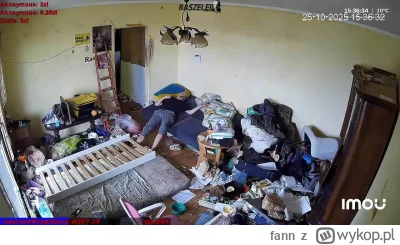 fann - #danielmagical