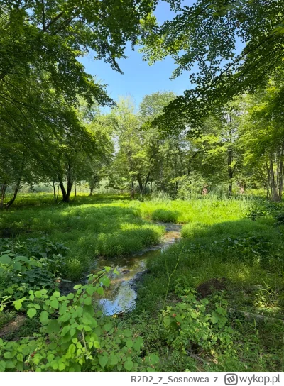 R2D2zSosnowca - @R2D2zSosnowca VII