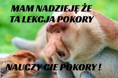 deiceberg - #nosaczsundajski #przegryw #polska