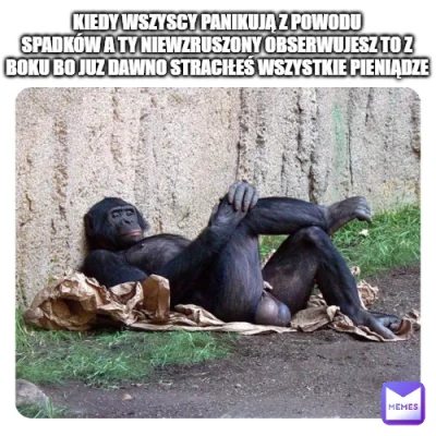 professionalgambler - Trzymajcie sie tam na tym bananie #gielda