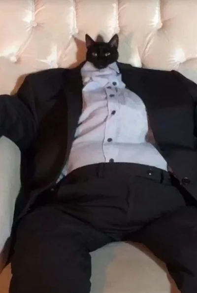 Neocaridina - #koty #hugoboss