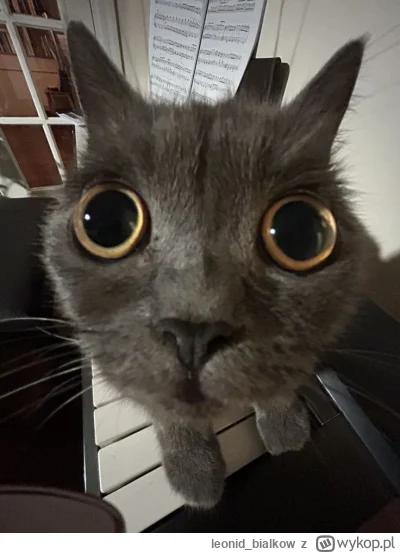 leonid_bialkow - @Drom: czytałem napis na szybie