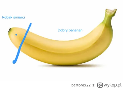 bartorex22 - #pytaniedoeksperta #kiciochpyta #glupiewykopowezabawy #heheszki