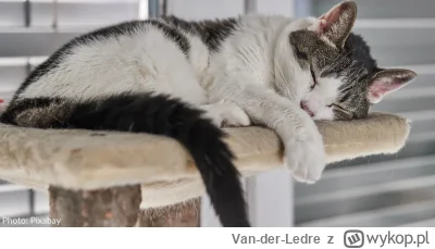 Van-der-Ledre - @kolorowy_monochrom: Dobranoc