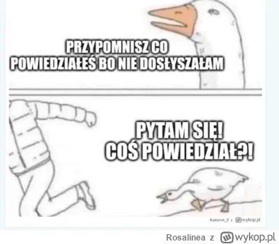 Rosalinea - #hotelparadise @Kakarot_Z For You