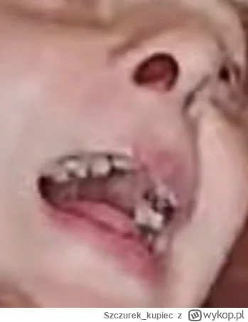 Szczurek_kupiec - @UzytkownikTegoTypu: chcerz buzi tego typu?