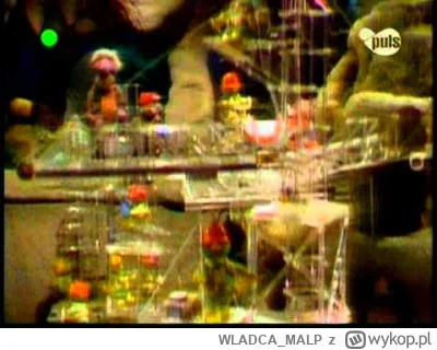 WLADCA_MALP - 11/50 #wakacjezbajkami

Fraglesy, Muppety i Mapeciątka oraz Ulica Sezam...