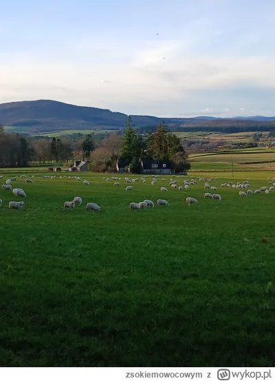 zsokiemowocowym - Ehh taka szara farma by dla chłopa wystarczyła, nie musi być dużo d...