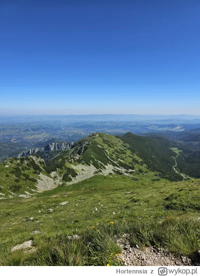 Hortennsia - Zdecydowanie idzie wiosna. Tylko te chmury... Rok temu było więcej słone...