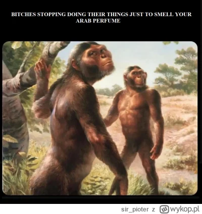 sir_pioter - @Yeahido: moja osobista topka ( ͡° ͜ʖ ͡°)