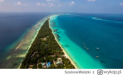 SzaloneWalizki - Cześć, 
Jeśli ktoś rozważa Malediwy, jako kierunek wakacji, to podrz...