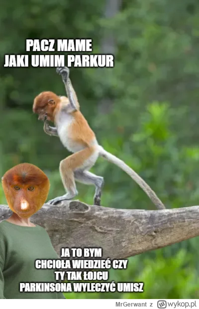 MrGerwant - #konkursnanajbardziejgownianymemznosaczem