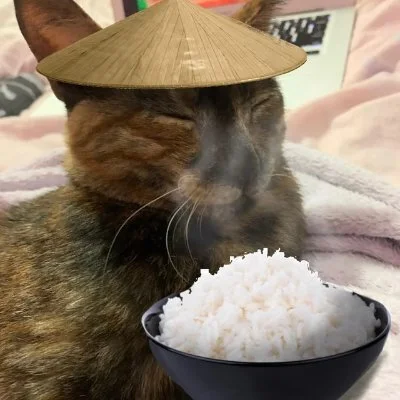 dywergent - znalazlem zupe w puszce ktora schowalem na gorsze czasy