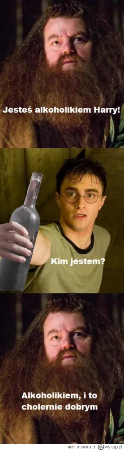 mar_aurelius - #harrypotter myślodsiewnia Wybrańca