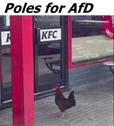 Makavlani - ( ͡° ͜ʖ ͡°)
#heheszki #polityka #memy #humorobrazkowy #4konserwy #neuropa