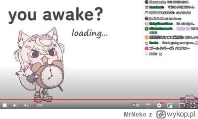 MrNeko - #hololive