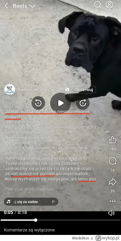 WielkiNos - Kto chce wziąć takiego słodkiego pieska ze schroniska i dać mu nowy dom? ...