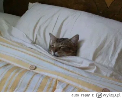 auto_reply - Dobranoc wszystkim :*