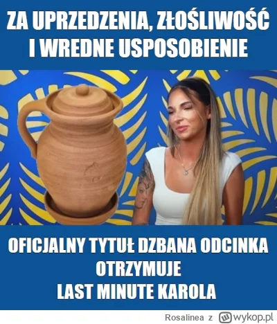 Rosalinea - #hotelparadise   @LilijkaK: Twoja ankieta wskazała jednoznacznie