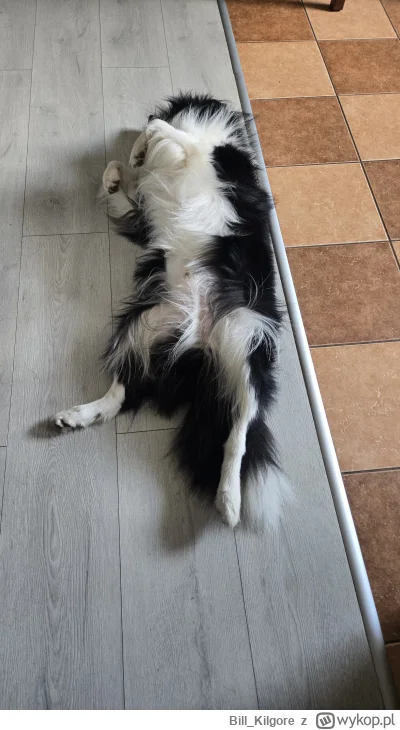 Bill_Kilgore - @tytanowyy: