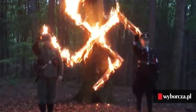 Raf_Alinski - Słuchajta, jeśli Braun będzie mówił takie nieładne rzeczy o komorach ga...