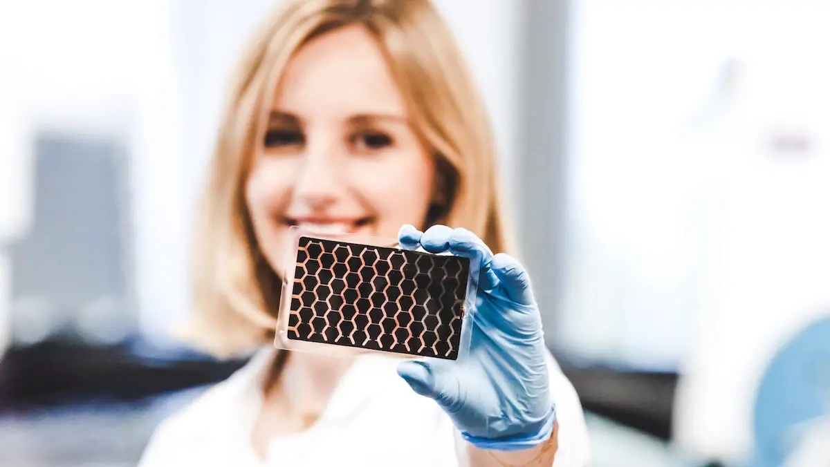 volodia - https://bizblog.spidersweb.pl/geniusz-kontra-system-perowskity-olgi-malinki...