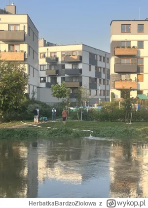 HerbatkaBardzoZiolowa - @HerbatkaBardzoZiolowa chyba coś już zalało bo wypompowuja wo...