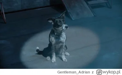 Gentleman_Adrian - #lemans Jako że mamy już nocne ściganie to nie może zabraknąć Hult...