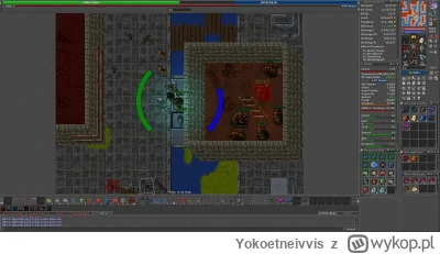 Yokoetneivvis - bol #tibia