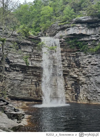 R2D2zSosnowca - @R2D2zSosnowca park kompletny, można tam rowerem, kajakiem, piechotą,...