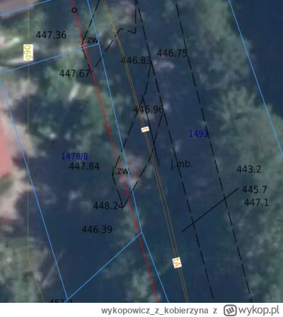 wykopowiczzkobierzyna - Hej, według legend ojca Orange (a wtedy jeszcze TP S.A.) kied...