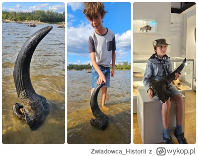 Zwiadowca_Historii - Możdżeń prażubra sprzed ponad 9tys. lat odkryty w Wiśle! (GALERI...